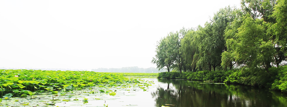 &#19975;&#35937;&#22478;&#22312;&#32447;&#30331;&#24405;&#32;&#45;&#32;&#19975;&#35937;&#22478;&#65288;&#20013;&#22269;&#65289;&#45;&#19975;&#35937;&#22478;&#65288;&#20013;&#22269;&#65289;