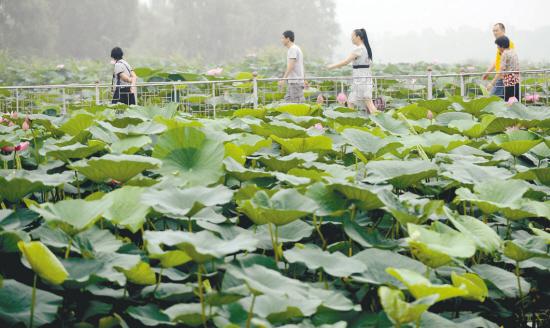 万象城在线登录 - 万象城(中国)-万象城(中国)