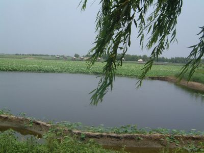 &#19975;&#35937;&#22478;&#22312;&#32447;&#30331;&#24405;&#32;&#45;&#32;&#19975;&#35937;&#22478;&#65288;&#20013;&#22269;&#65289;&#45;&#19975;&#35937;&#22478;&#65288;&#20013;&#22269;&#65289;