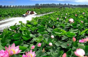 &#19975;&#35937;&#22478;&#22312;&#32447;&#30331;&#24405;&#32;&#45;&#32;&#19975;&#35937;&#22478;&#65288;&#20013;&#22269;&#65289;&#45;&#19975;&#35937;&#22478;&#65288;&#20013;&#22269;&#65289;